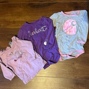 Carhartt Purple and Pink Long Sleeve Tees
